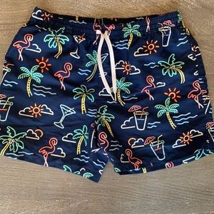 Chubbies Neon Lights 5.5” Stretch Swim Trunks